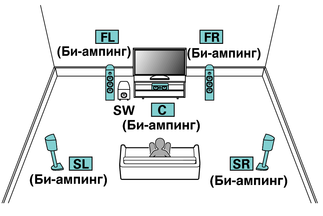Pict SP Layout 5.1 BiAmp X64